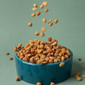 sauvetage délicieux pour nos amis les bêtes